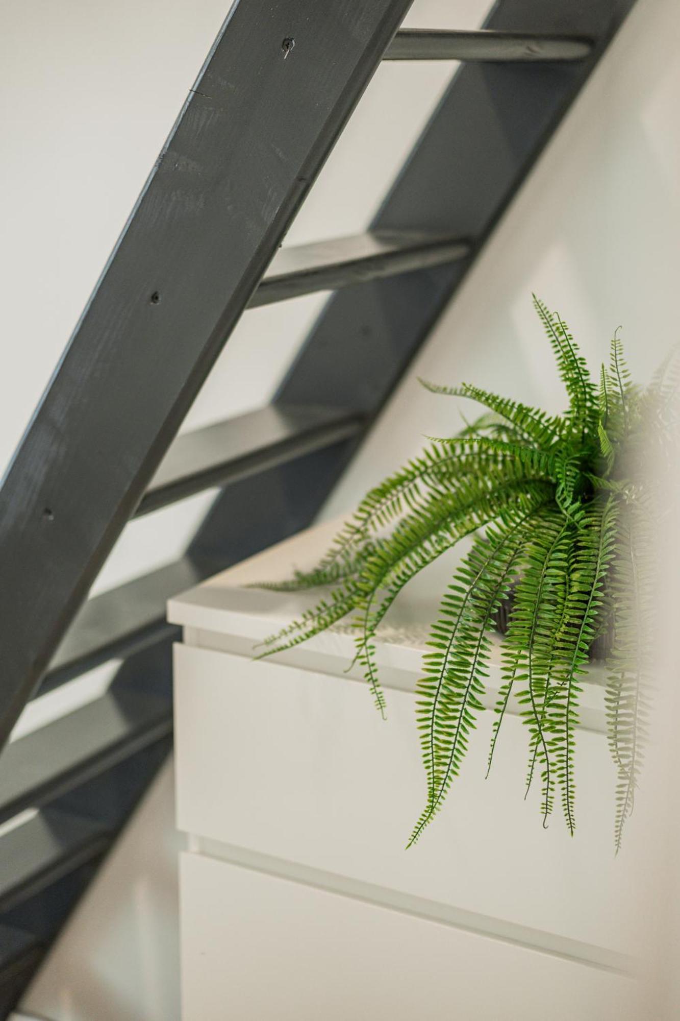 Chic Central City Rooms By Home2 Wien Exterior foto